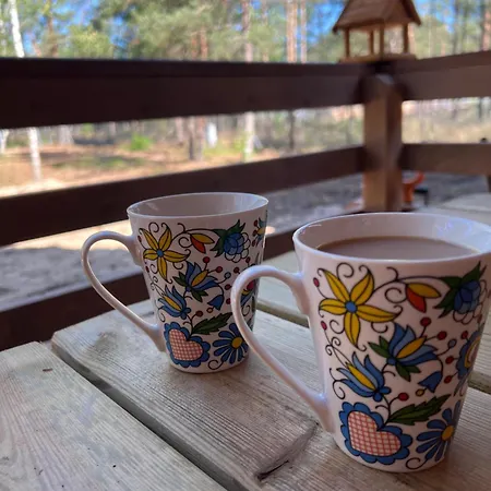 Ferienhaus Borskowka Z Balia Z Jacuzzi I Sauna