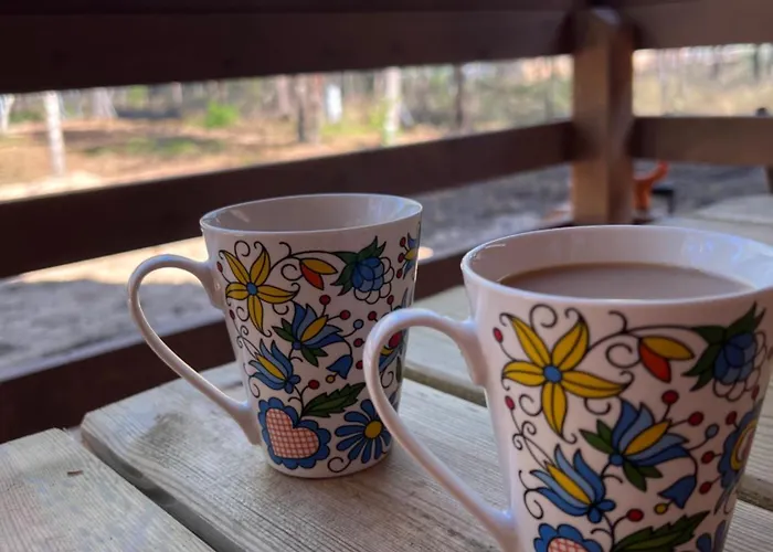 Prázdninový dům Borskowka Z Balia Z Jacuzzi I Sauna